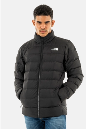 Blouson hiver 2025 homme north face