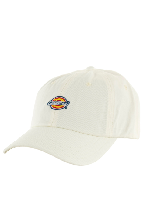 Casquettes dickies hardwick c581 cloud main product photo