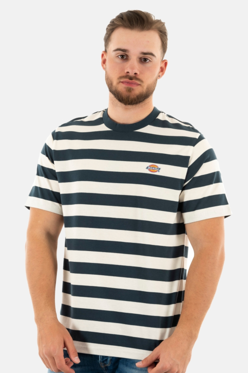 Tee shirt dickies rivergrove af01 air force blue main product photo