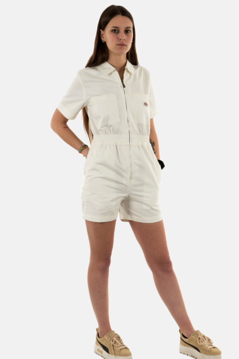 combinaisons dickies vale c581 cloud main product photo