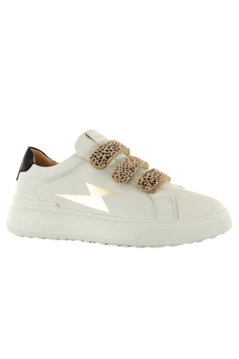 Baskets basses vanessa wu salome leopard main product photo