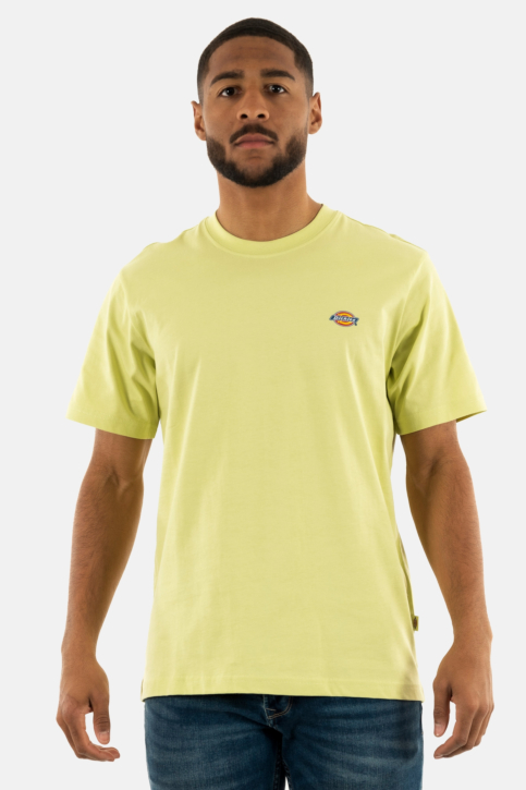 Tee shirt dickies mapleton h141 pale green main product photo