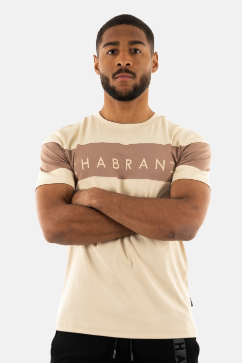 Tee shirt chabrand 60230 402 taupe main product photo