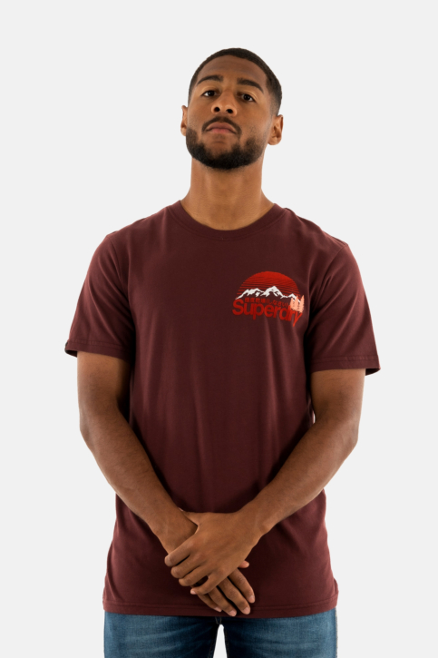 Tee shirt superdry great outdoor 2xy rum raisin brown main product photo