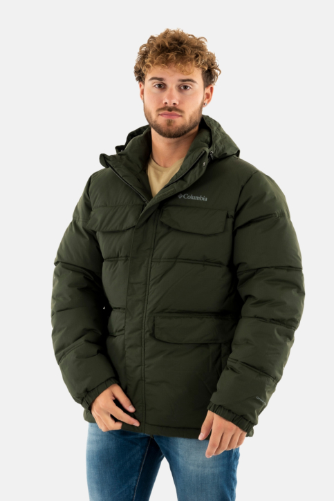 Blousons et vestes columbia landroamer puffer 366 greenscape main product photo