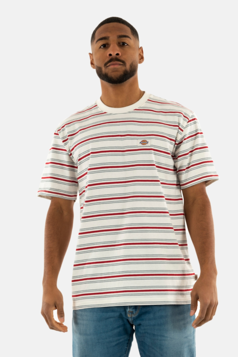 Tee shirt dickies lewistown c481 egret main product photo