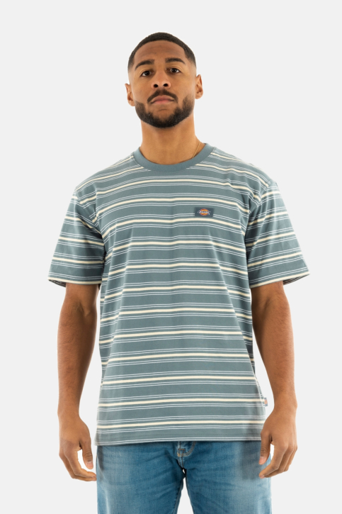 Tee shirt dickies lewistown g701 stormy weather main product photo