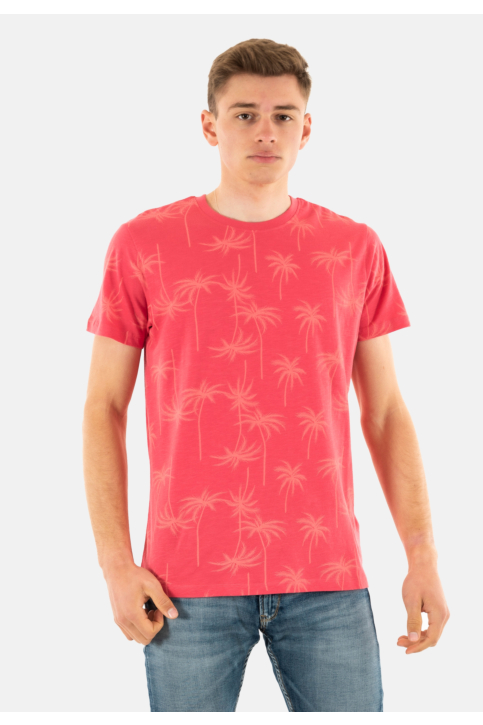 Tee shirt Le Temps Des Cerises cirel 4243 claret main product photo