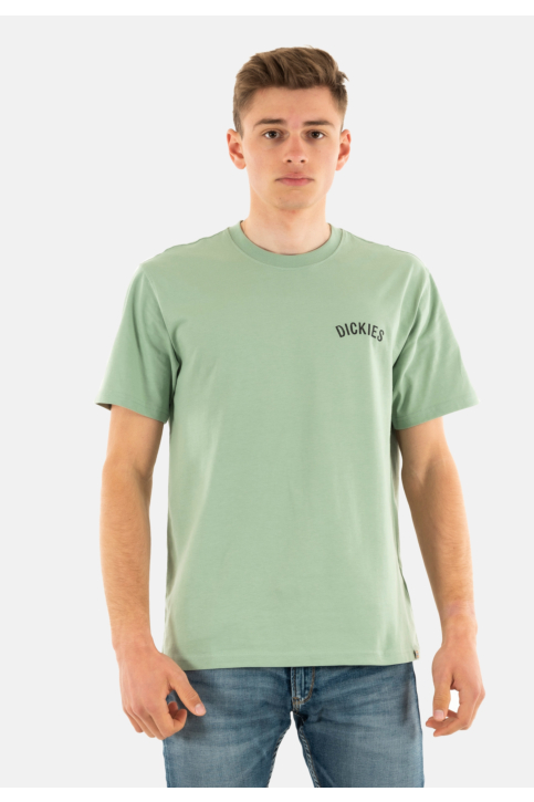 Tee shirt dickies snake k361 iceberg green main product photo