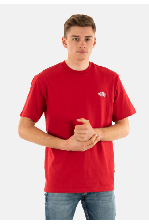 Tee shirt dickies summerdale 0er1 english red main product photo