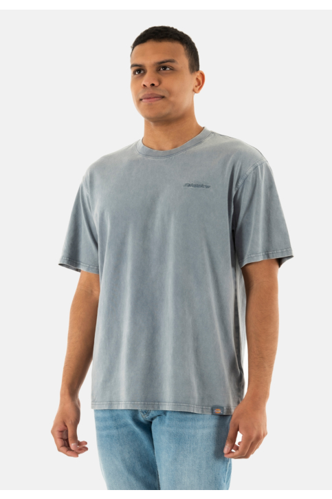 Tee shirt dickies plentywood g701 stormy weather main product photo