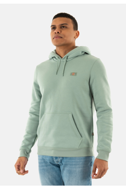 Sweat dickies oakport hoodie 61 iceberg green main product photo