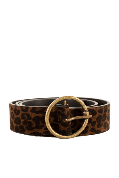 Ceinture freeman t. porter angelisa leo 9062 f912 brown main product photo