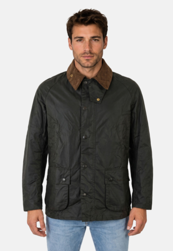 Blousons et vestes barbour festive ashby wax sg91 sage/evergreen