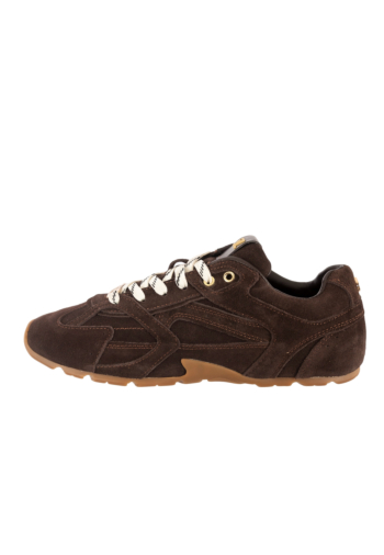 Baskets basses steve madden asiel cho brn sd
