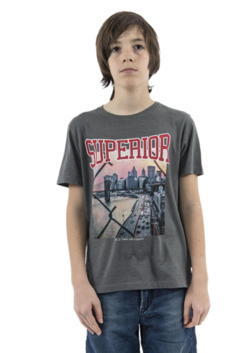 Tee shirts manches courtes Le Temps Des Cerises vandabo 0250 medium grey melange