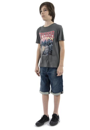 Tee shirts manches courtes Le Temps Des Cerises vandabo 0250 medium grey melange