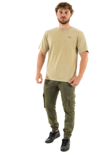 Tee shirt dickies newington j491 dble dye/acd s