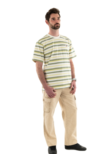 Tee shirt dickies glade spring j421 hrzntl strip
