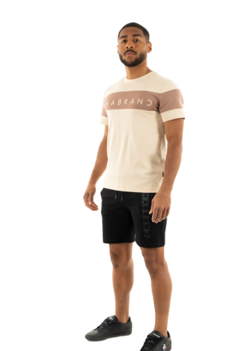 Tee shirt chabrand 60230 402 taupe
