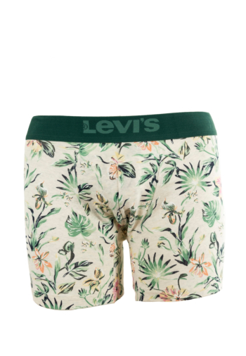 Calecons et slips levi's® flower 2p 002 marshmellow/green