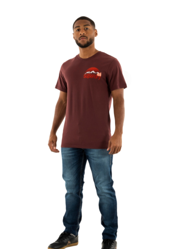 Tee shirt superdry great outdoor 2xy rum raisin brown