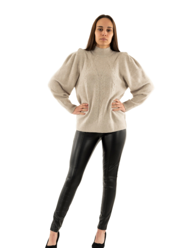 Pull hiver ichi baine 171212 fungi