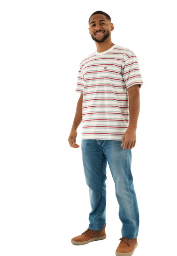 Tee shirt dickies lewistown c481 egret