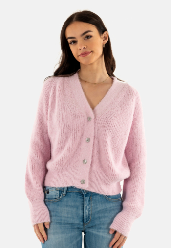 Gilets cardigans morgan 251-max macaron
