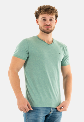 Tee shirt Benson & Cherry tadeg vert clair