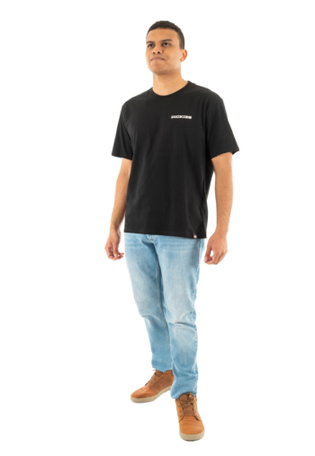 Tee shirt dickies graphic blk1 black