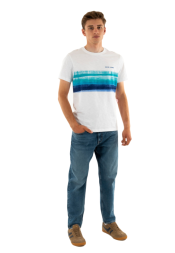 Tee shirt salsa 21009516 001