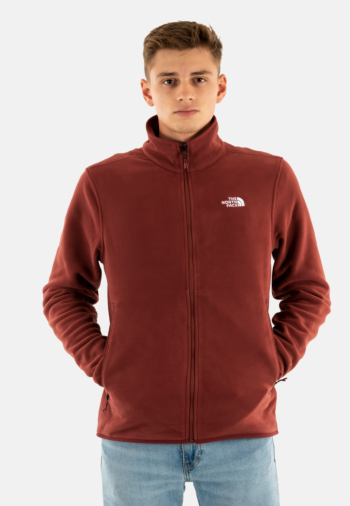 Sweat the north face glacier fleece 0vo sumac