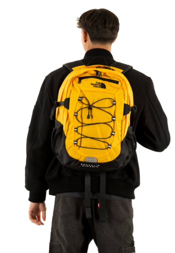 Sacs à dos the north face borealis classic 4wp summit gold-tnf black-n