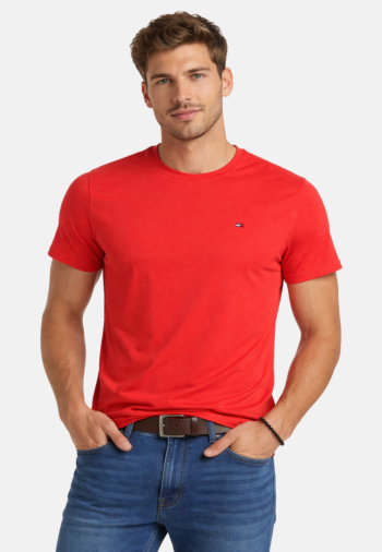 Tee shirt tommy jeans dm0dm04411 xl0 terracotta red
