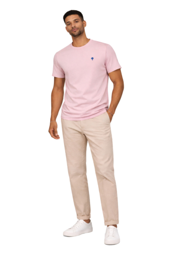 Tee shirt faguo arcy pur11 greyish parme