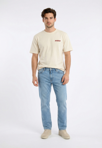 Tee shirt dickies dry ridge c481 egret