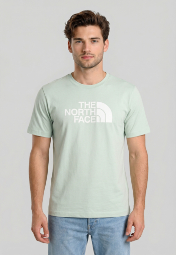Tee shirt the north face evolution half dome regular g701 opal frost