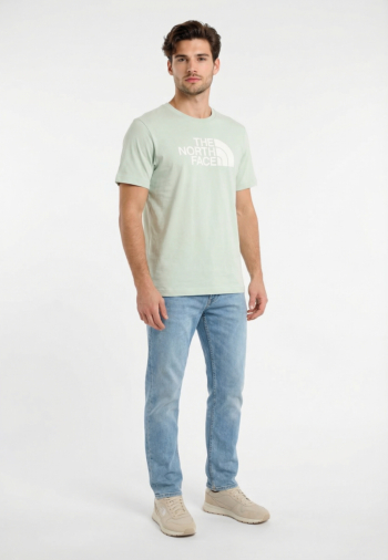 Tee shirt the north face evolution half dome regular g701 opal frost
