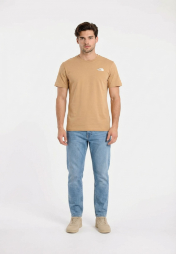 Tee shirt the north face evolution box nse regular lk51 khaki stone