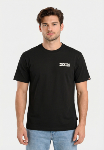 Tee shirt dickies plain city blk1 black