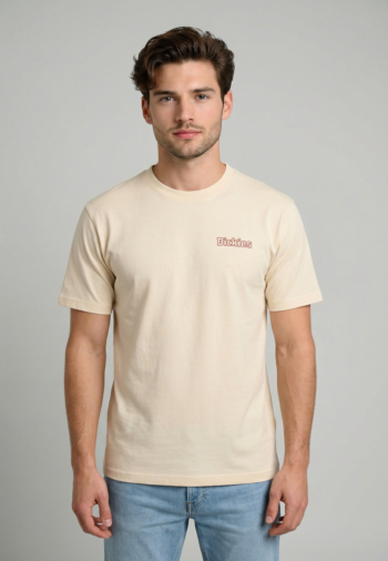 Tee shirt dickies fairlawn c481 egret