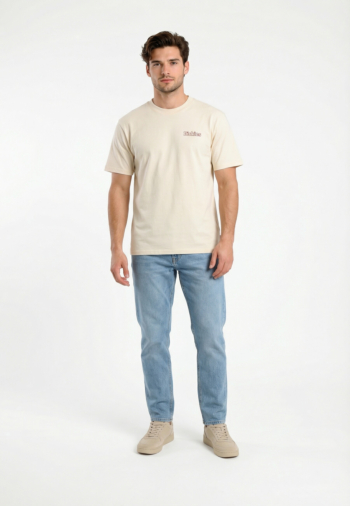 Tee shirt dickies fairlawn c481 egret