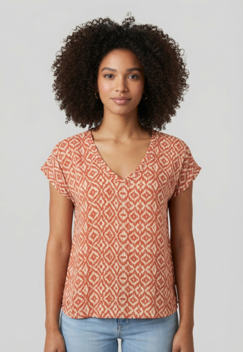 Tee shirt sun valley rocchi 8065 argile