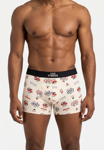 Calecons et slips levi's® fruity aop boxer brief 2p 001 white/navy
