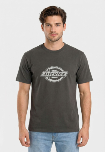 Tee shirt dickies plainville blk1 black