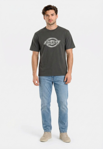 Tee shirt dickies plainville blk1 black
