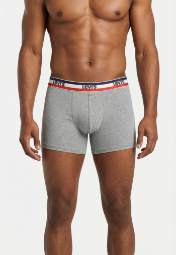 Calecons et slips levi's® repeat spw logo boxer brief 002 navy/grey melange