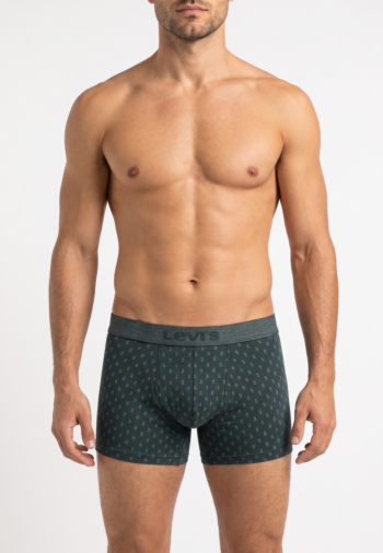 Calecons et slips levi's® denim aop boxer brief 2p 001 green/black