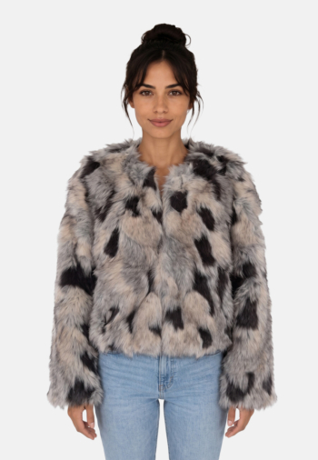 Blousons et vestes freeman t. porter milani p101 45 stone